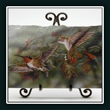 Ruby Throated Hummingbirds