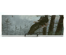 Through the clearing