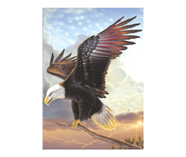 Eagle
